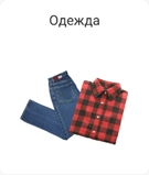 Одежда