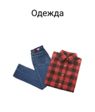 Одежда