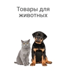 Зоотовары